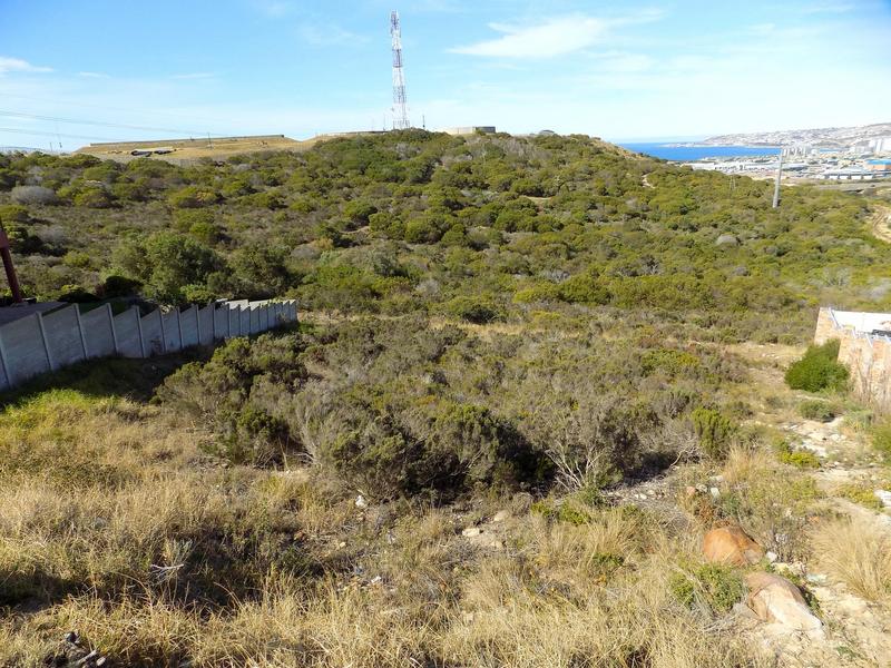 0 Bedroom Property for Sale in Seemeeu Park Western Cape